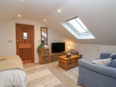 A living room with a wooden door a skylight window a blue checkered sofa a wooden coffee table and a television at The Halt in Maiden Newton