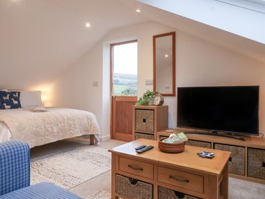 A bedroom with a bed a blue armchair a wooden TV stand a flat screen TV a wooden drawer unit with baskets and a mirror on the wall at The Halt in Maiden Newton