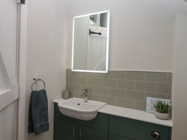 A bathroom sink with a mirror above it a towel ring with a towel and a small plant on the counter at Cherryblossom Cottage in Winkleigh
