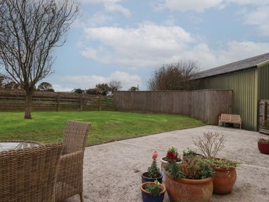 A backyard with lawn furniture, potted plants, a tree, wooden fence, and a green shed at Cherryblossom Cottage in Winkleigh