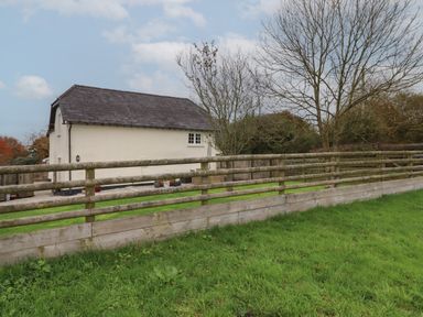 A fenced grassy yard with a cream colored building and leafless trees at Cherryblossom Cottage in Winkleigh