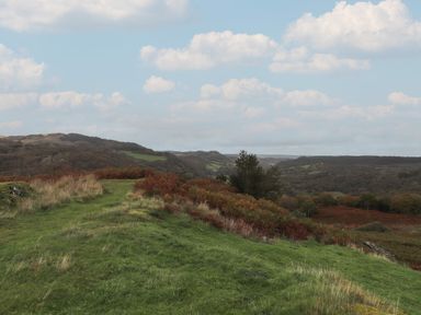 A green grassy hill with bushes and distant forest under a partly cloudy sky at Ty Llugwy in Capel Curig near Betws-Y-Coed