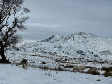 A scenic view of mountains and sheep in snow at Ty Siabod in Capel Curig near Betws-Y-Coed