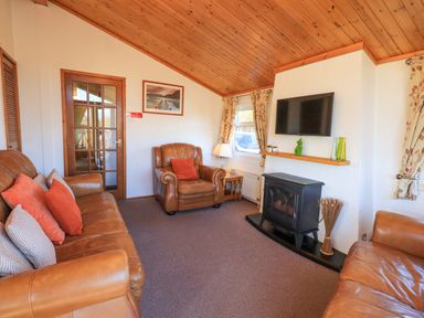 A living room with leather sofas a fireplace television and wooden ceiling at Kellet Lodge Lakeside 26 Dock Acres near Carnforth
