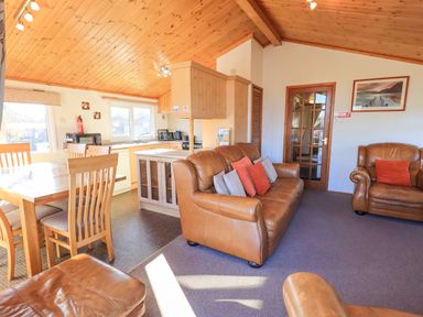 A living room and kitchen area with brown leather sofas wooden dining table and kitchen appliances at Kellet Lodge Lakeside 26 in Dock Acres near Carnforth