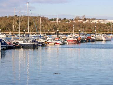 A marina with multiple boats and yachts docked along the pier with trees and buildings in the background at 117 Crosswinds Hillway near Bembridge