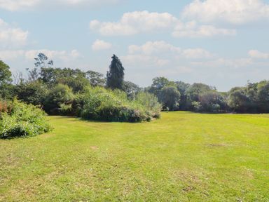 A garden with grass and plants at Delfryn Llandeilo near Llandeilo