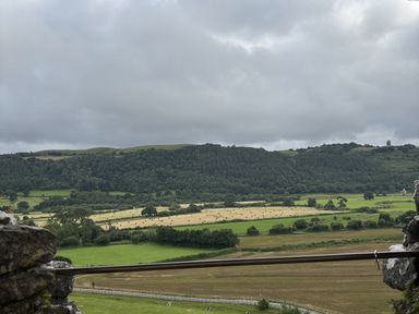 A landscape view of fields and trees near a mountain range at Delfryn Llandeilo near Llandeilo