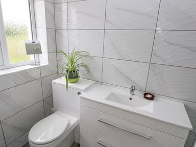 A bathroom with a toilet a sink a green plant on the toilet tank and a window at Golygfa Hafan in Little Haven
