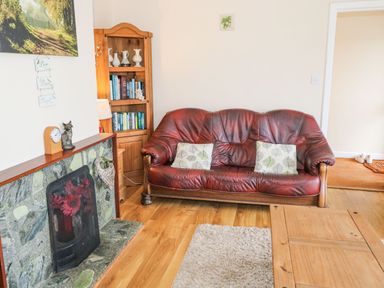 A living room with a red leather sofa two cushions wooden bookshelf and a fireplace at Lakeview Lodge in Knockmore County Mayo