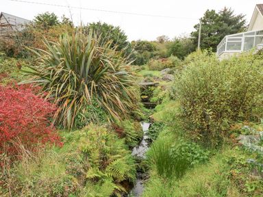 A garden area with dense vegetation including a small stream bushes and grass at Lakeview Lodge in Knockmore County Mayo