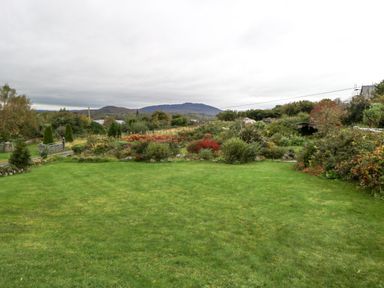 A grassy garden with bushes trees and mountains in the background at Lakeview Lodge in Knockmore County Mayo