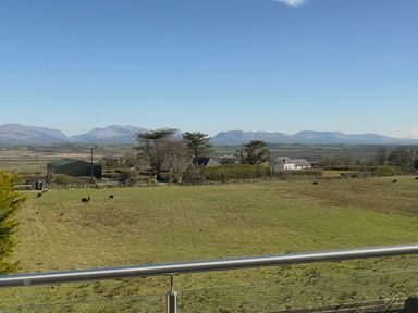 A view of mountains and a field with cows at 15 Llys Tegeirian Llangristiolus near Llangefni