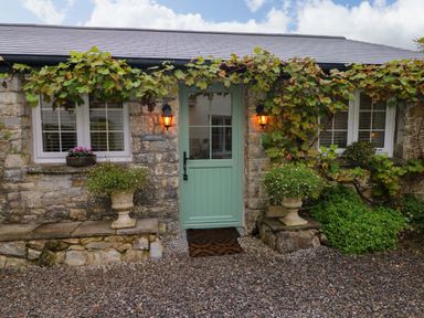Front entrance of a stone cottage with a green door and plants around at Little Cloud Nash near Cowbridge