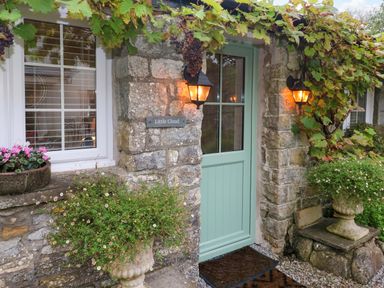 Entrance door with lights stone walls plants and grapevine at Little Cloud Nash near Cowbridge