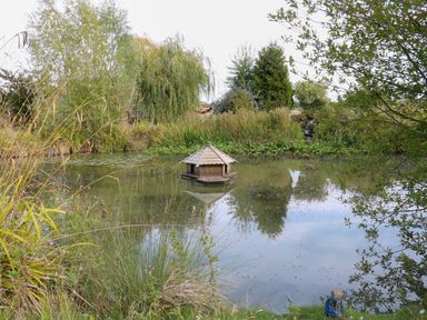 A pond with a fishing shelter surrounded by vegetation at Bonnie's Shepherds Hut at Shepherds Lodge Retreat and Wellness Bottesford near Redmile and Vale of Belvoir