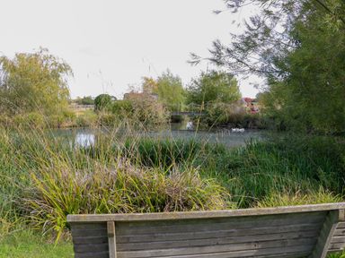 A bench overlooking a pond with a bridge and greenery at Bonnie's Shepherds Hut at Shepherds Lodge Retreat and Wellness, Bottesford near Redmile and Vale of Belvoir