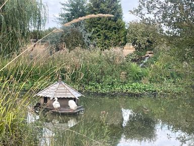 A pond with ducks and a decorative house at Bonnie's Shepherds Hut at Shepherds Lodge Retreat and Wellness Bottesford near Redmile and Vale of Belvoir