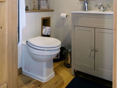 A bathroom with a toilet and sink at Lillie's Shepherds Hut at Shepherds Lodge Retreat and Wellness, Bottesford near Redmile and Vale of Belvoir