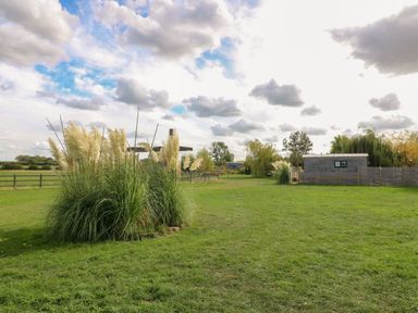 An outdoor space with pampas grass and a shed at Lillie's Shepherds Hut at Shepherds Lodge Retreat and Wellness Bottesford near Redmile and Vale of Belvoir