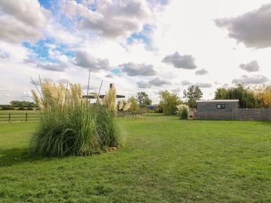 An outdoor area with grass and pampas grass at Herbie's Shepherds Hut at Shepherds Lodge Retreat and Wellness Bottesford near Redmile and Vale of Belvoir