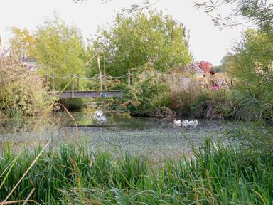 A pond with a bridge and ducks at Herbie's Shepherds Hut at Shepherds Lodge Retreat and Wellness Bottesford near Redmile and Vale of Belvoir