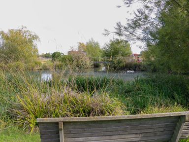 A view of a pond with a bench and surrounding trees at Herbie's Shepherds Hut at Shepherds Lodge Retreat and Wellness in Bottesford near Redmile and Vale of Belvoir