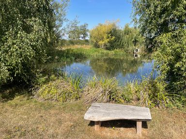 A bench by a pond surrounded by grass and trees at Herbie's Shepherds Hut at Shepherds Lodge Retreat and Wellness, Bottesford near Redmile and Vale of Belvoir