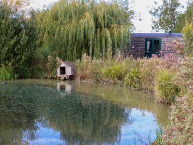 A pond with a wooden house and a willow tree at Poppie's Shepherds Hut at Shepherds Lodge Retreat and Wellness Bottesford near Redmile and Vale of Belvoir