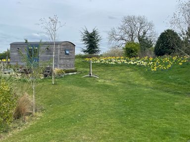 A shepherd's hut and garden area at Poppie's Shepherds Hut at Shepherds Lodge Retreat and Wellness Bottesford near Redmile and Vale of Belvoir
