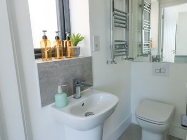A bathroom with a sink and faucet a toilet a window with bottles and a plant on the sill and a wall-mounted towel radiator at 6 Gwel Yr Wyddfa Llanfaelog near Rhosneigr