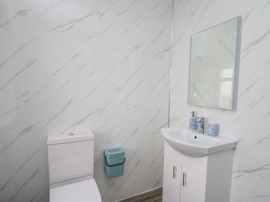 A bathroom with a toilet a sink with cabinet a mirror and a small blue trash bin at Fronwig in New Quay