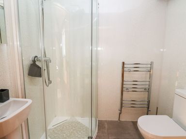 A bathroom with a shower enclosure a sink a heated towel rail and a toilet at Yr Adfa Llangeitho near Tregaron