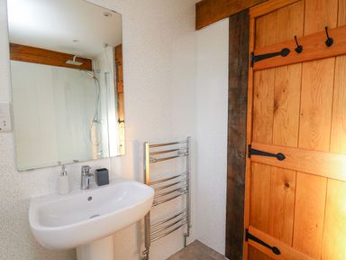 A bathroom with a sink mirror towel warmer and wooden door at Yr Adfa in Llangeitho near Tregaron