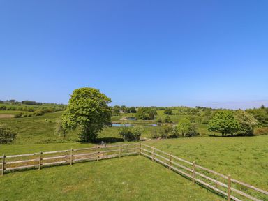 A fenced grassy field with trees and a pond under a clear blue sky at Yr Adfa in Llangeitho near Tregaron
