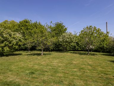 A grassy garden area with several trees and a clear sky at Home Farm Barn in Todenham near Moreton-In-Marsh