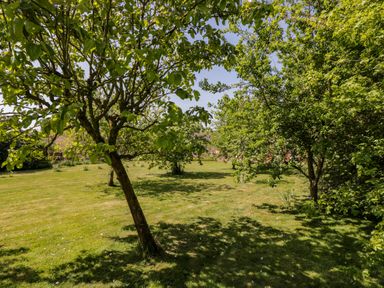 A garden with green grass and several leafy trees at Home Farm Barn in Todenham near Moreton-In-Marsh