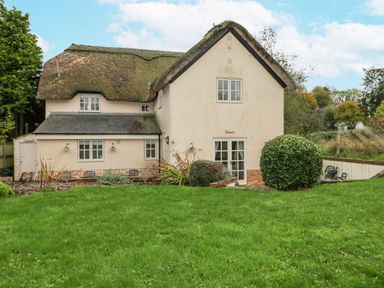 A thatched roof house with a garden and bushes at Moles Cottage in Farnham near Sixpenny Handley