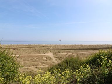 A view of a sandy coastal area with bushes and yellow flowers near the sea at 1 Kessingland Cottages in Kessingland