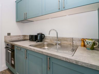 A kitchen countertop with a sink toaster kettle spice jars and an owl shaped teapot at Elderflower Lodge in Allithwaite near Cartmel