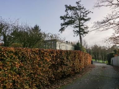 A driveway with a hedge and a building behind it at Elderflower Lodge in Allithwaite near Cartmel