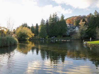 A lake with trees and a house in the background at Elderflower Lodge in Allithwaite near Cartmel