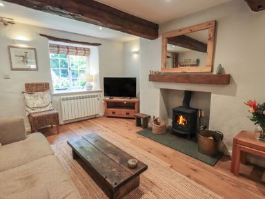 A living room with a sofa and fireplace at Daffodils in Ambleside