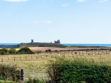 A landscape featuring a castle and sheep in a field at Driftwood Embleton