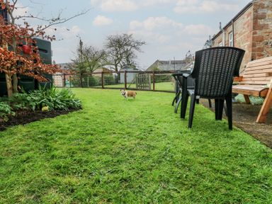 A garden with a dog on grass at 1 Brookside in Warcop