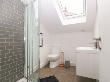 A bathroom with a toilet shower sink and a skylight at Ty Chwarel in Menai Bridge