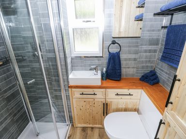 A bathroom with a shower and sink at The Hamper in Felingwm near Carmarthen