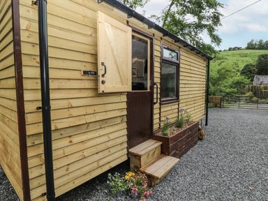 A wooden cabin with steps and planters at The Hamper in Felingwm near Carmarthen