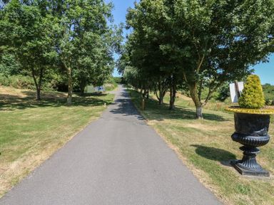 A pathway lined with trees and a decorative planter at Finnbars Lodge in Richmond