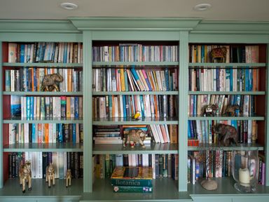 A bookshelf filled with books and decorative elephant and horse figurines at Curlew House in Cosheston